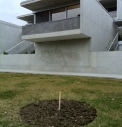 TRAVAUX DE PLANTATION